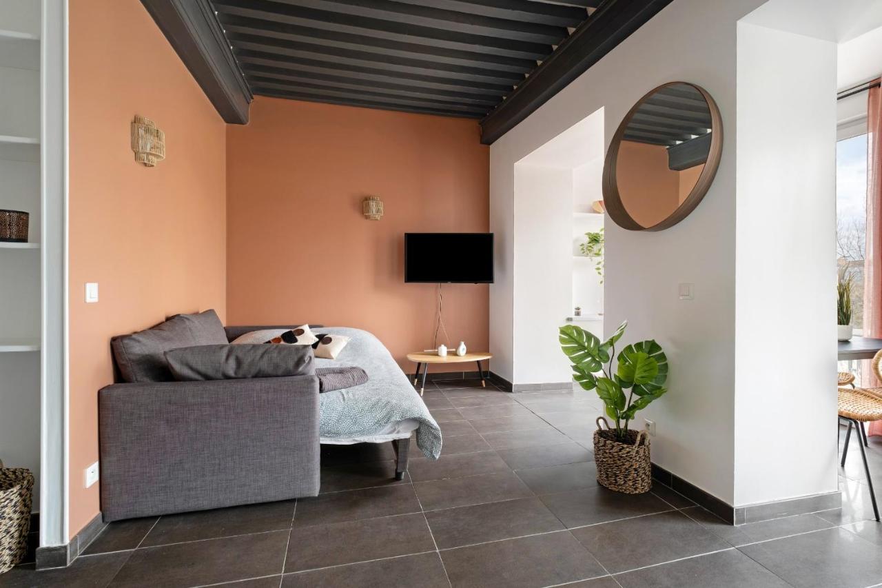 Lyon Cite- Appartement Vue Rhone Terrasse-Caluire Kültér fotó